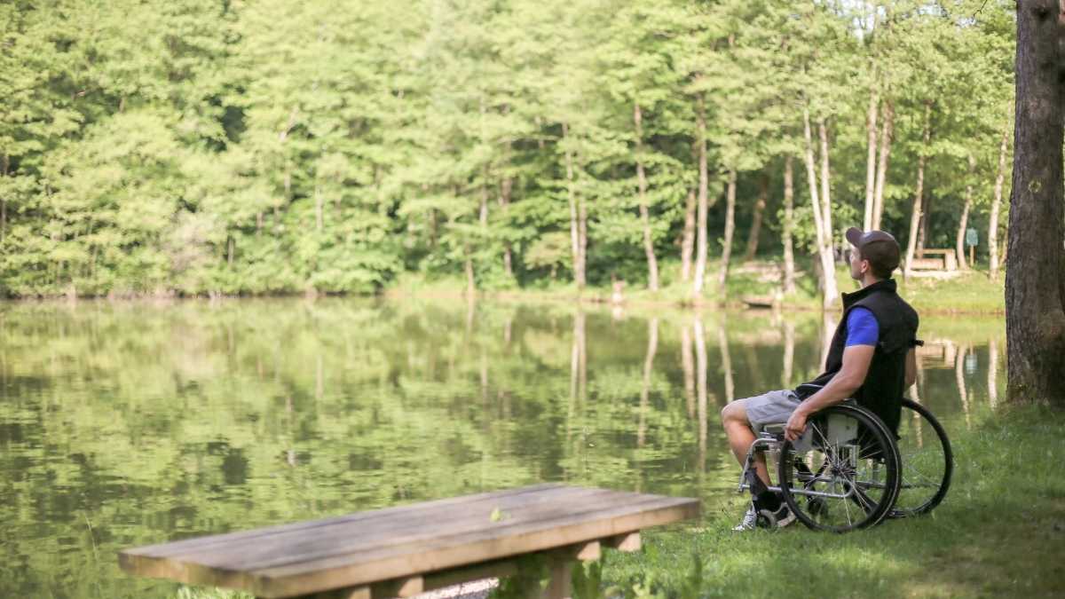 7 Most Beautiful Wheelchair Accessible Nature Trails in The US