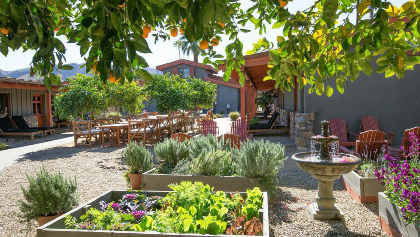 The 6 Best Handicap Accessible Hotels in California Wheelchair Getaways