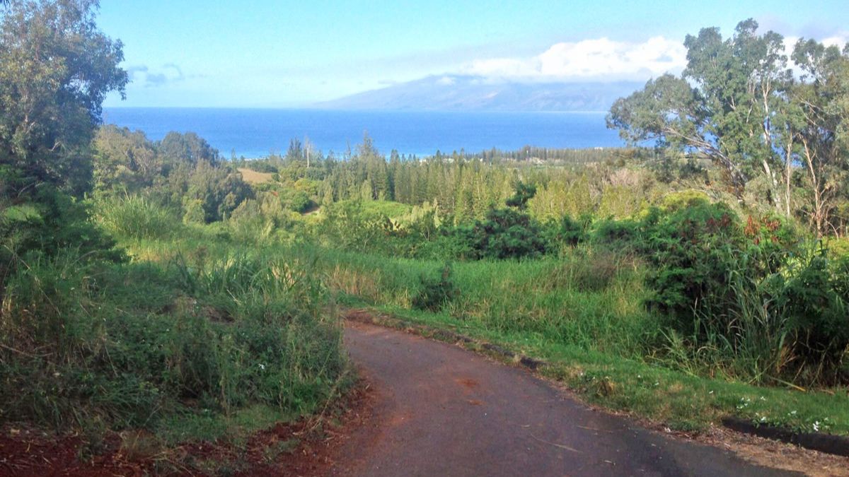 wheelchair accessible hawaii