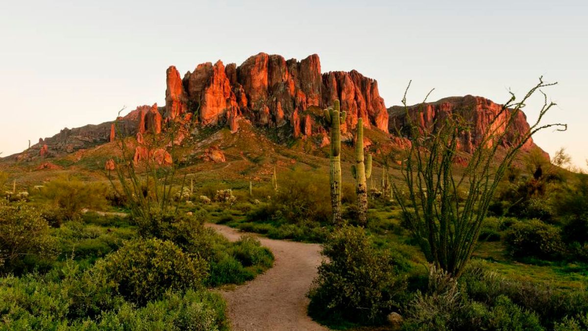 Lost Dutchman State Park - Phoenix, Arizona Top Destinations for Spring Flowers in the U.S.