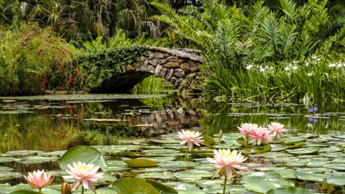 McKee Botanical Gardens - Vero Beach, Florida Top Destinations for Spring Flowers in the U.S.