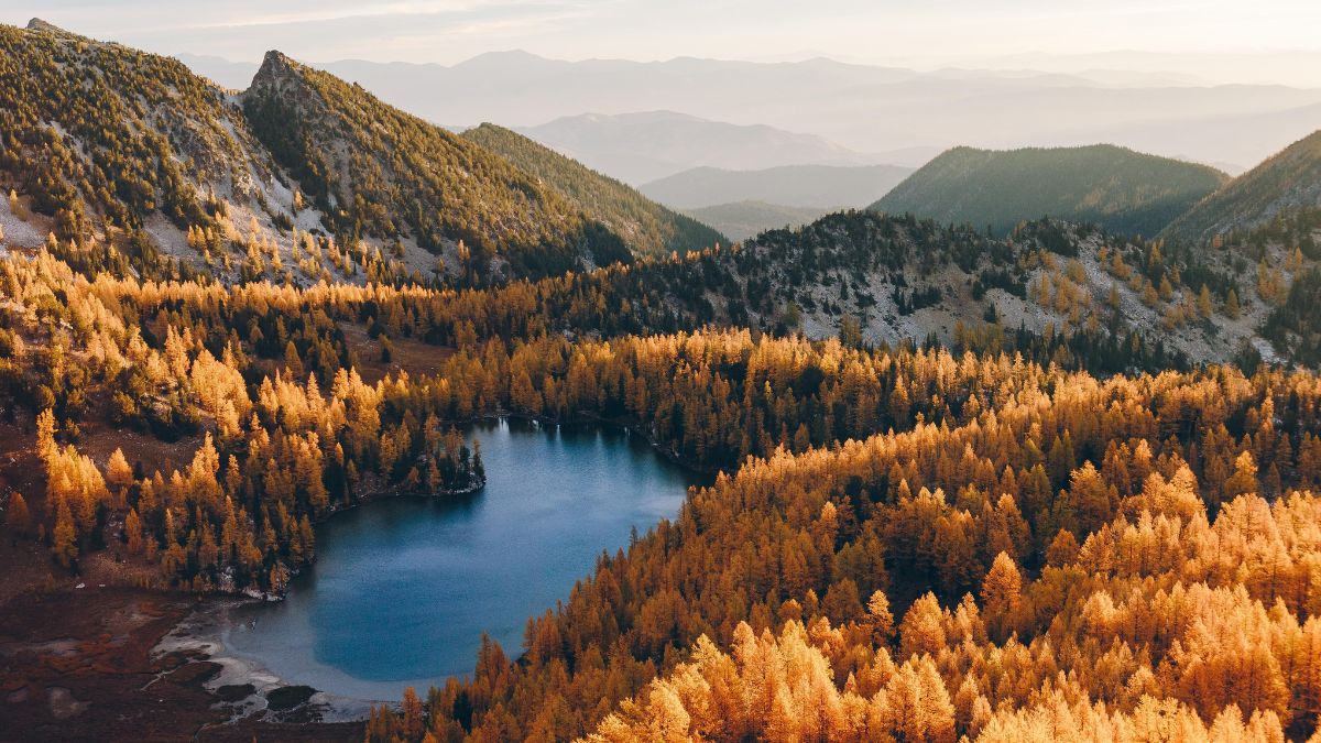North Cascades National Park - Washington State Top Destinations for Spring Flowers in the U.S.