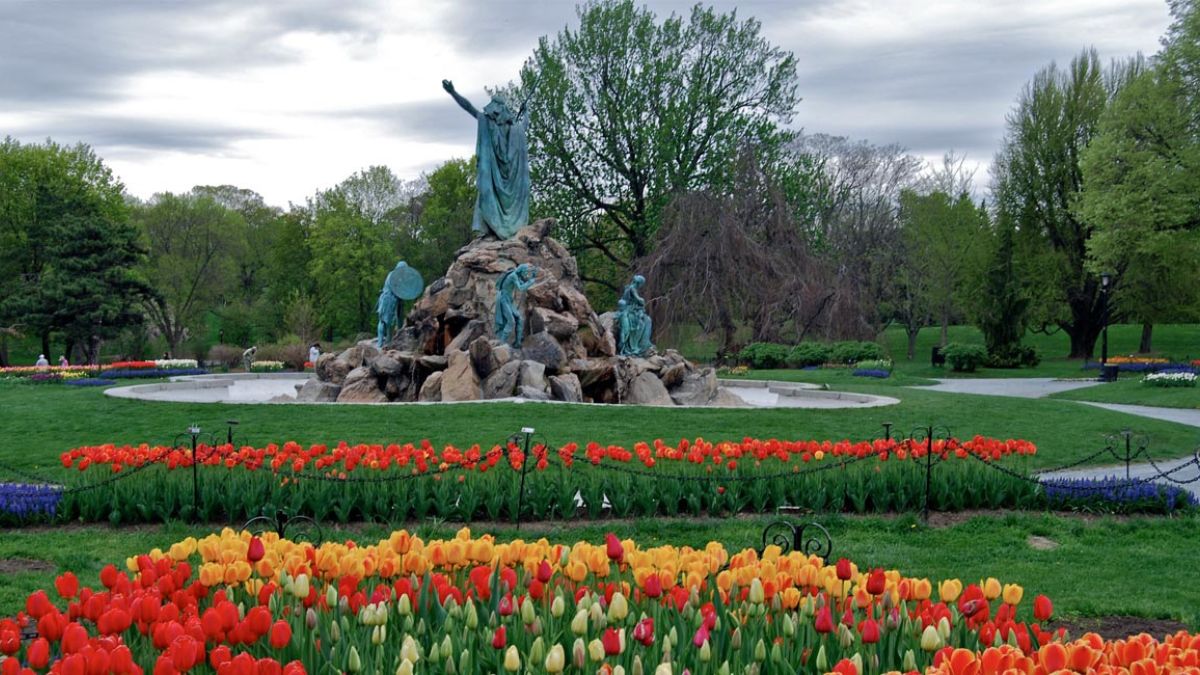 Top Destinations for Spring Flowers in the U.S.