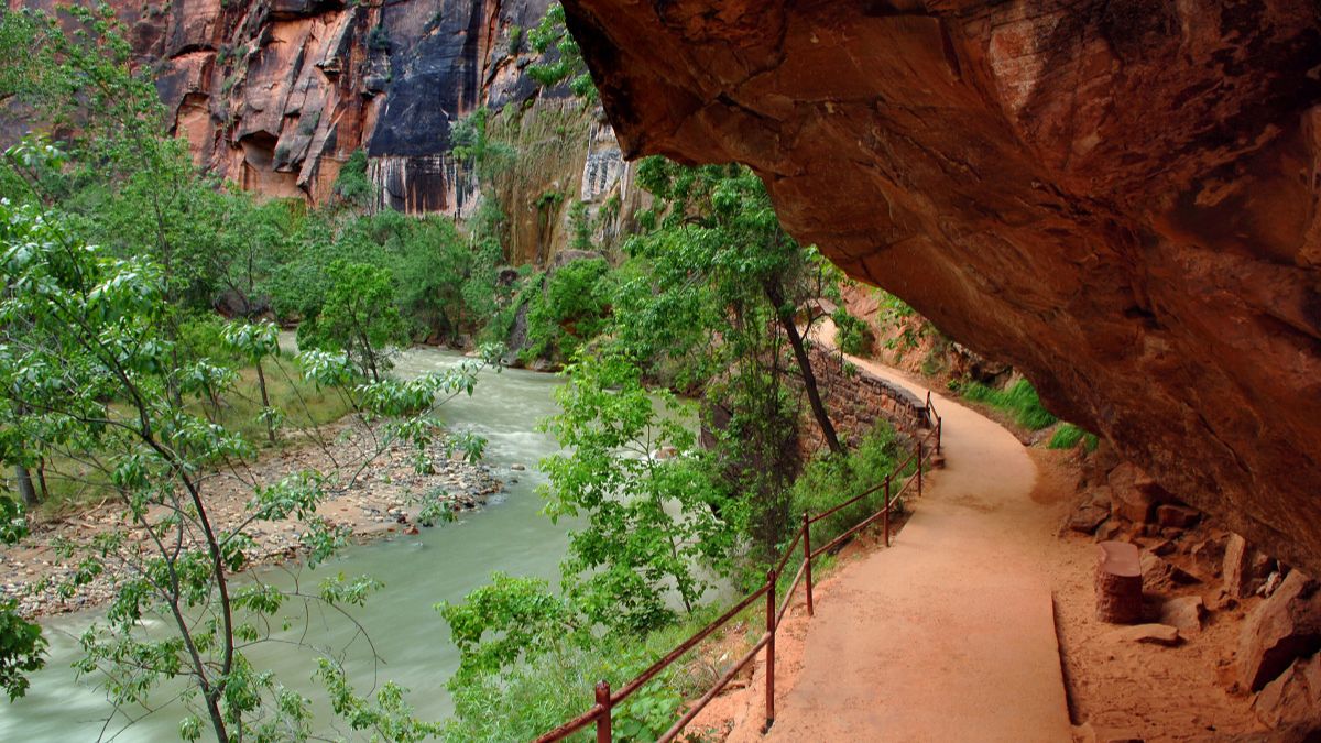 Accessibility in Zion
