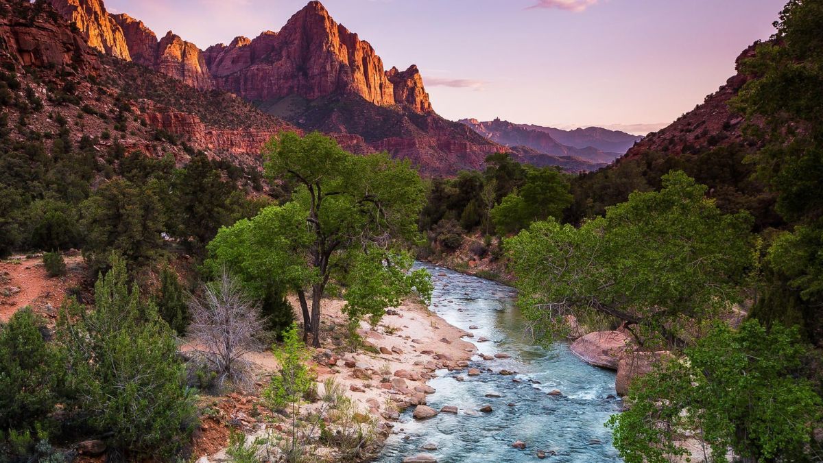 Accessibility in Zion