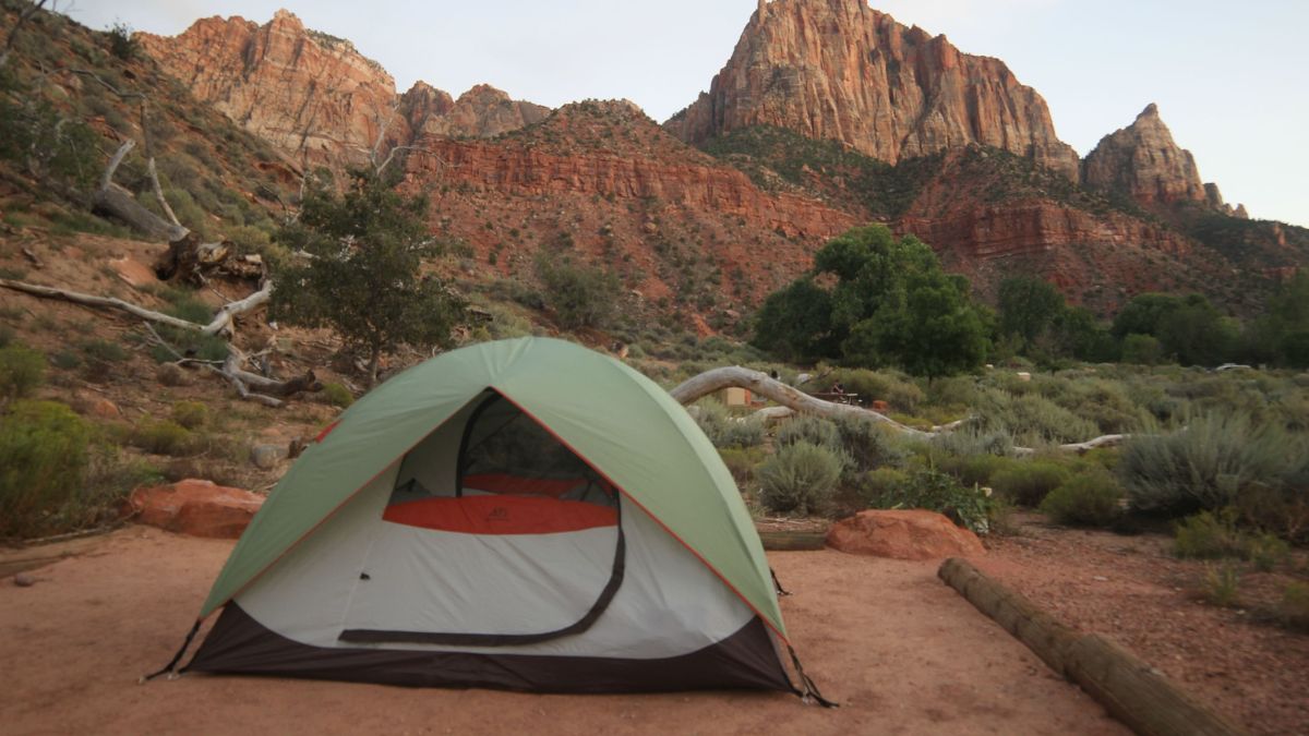 Accessibility in Zion