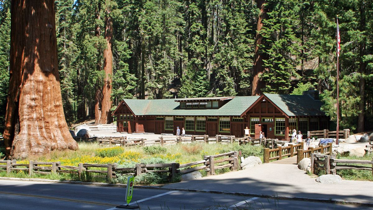 Giant Forest Museum sequoia and king canyon national parks accessibility