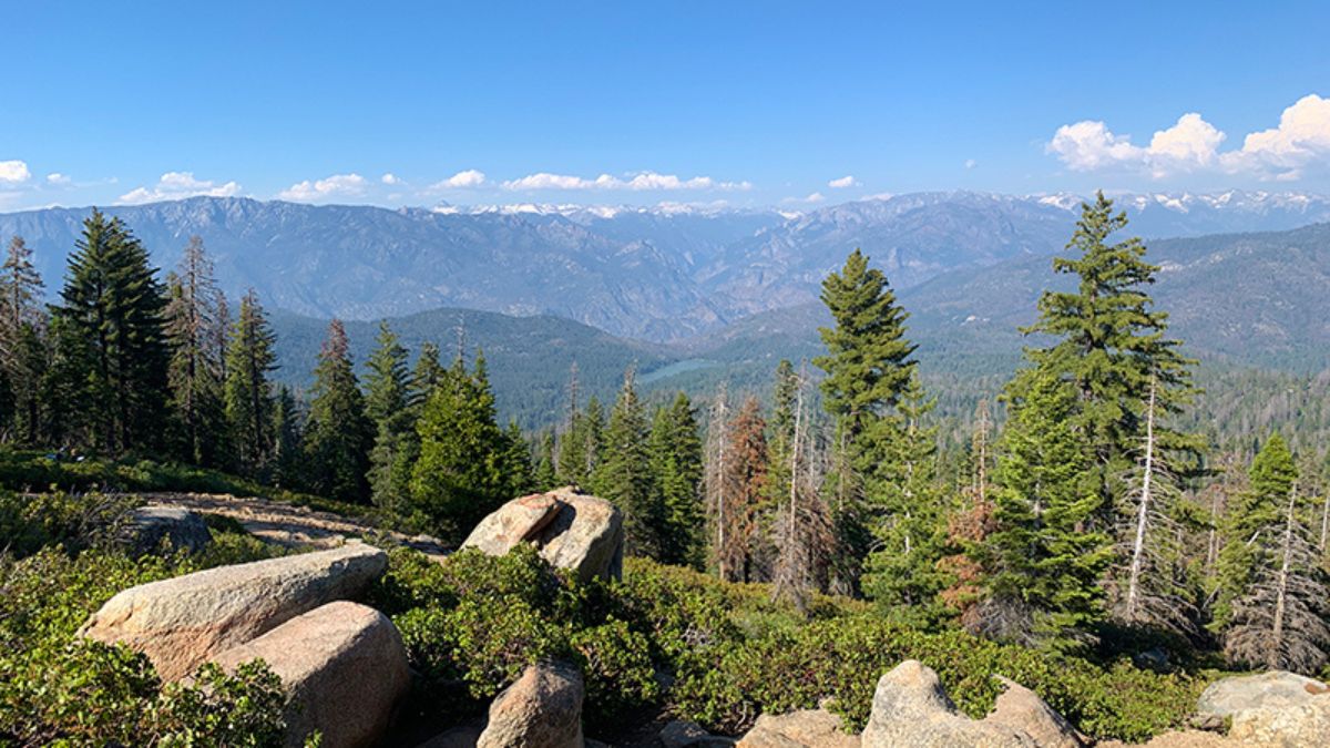 Panoramic Point Road sequoia and king canyon national parks accessibility