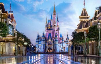 Wheelchair Van Rentals to Disney World