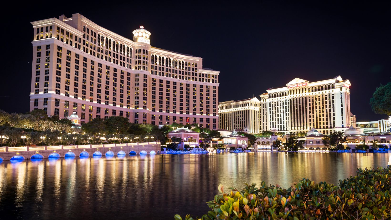 wheelchair accessible Las Vegas